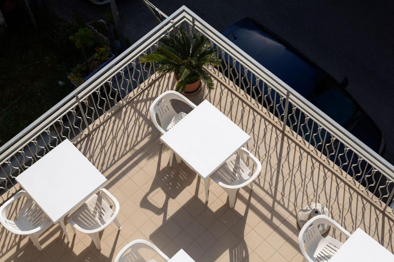 Zenith Rimini